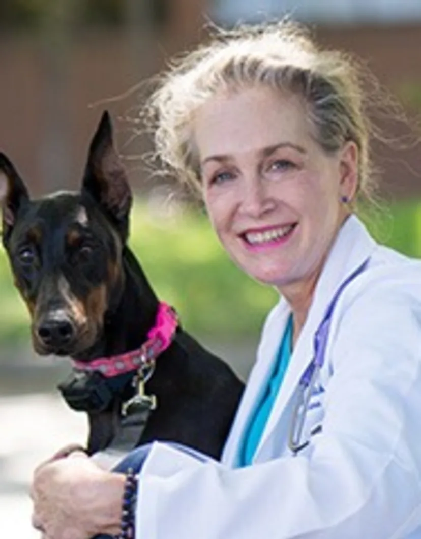 Dr. Cindi Welch at I-20 Animal Medical Center