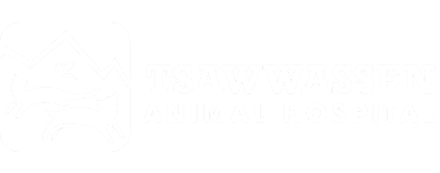Tsawwassen Animal Hospital Logo Tsawwassen Animal Hospital Logo