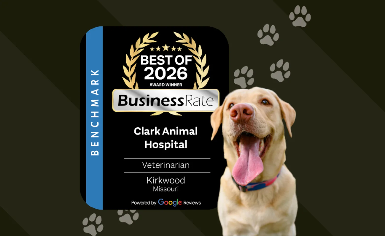 Clark Animal Hospital - BusinessRate's Best of 2026 Business Award Clark Animal Hospital - BusinessRate's Best of 2026 Business Award