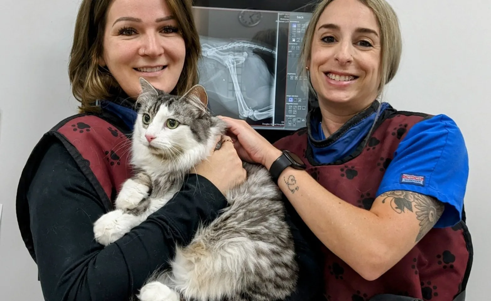 Staff members holding a cat in front of an x-ray Staff members holding a cat in front of an x-ray