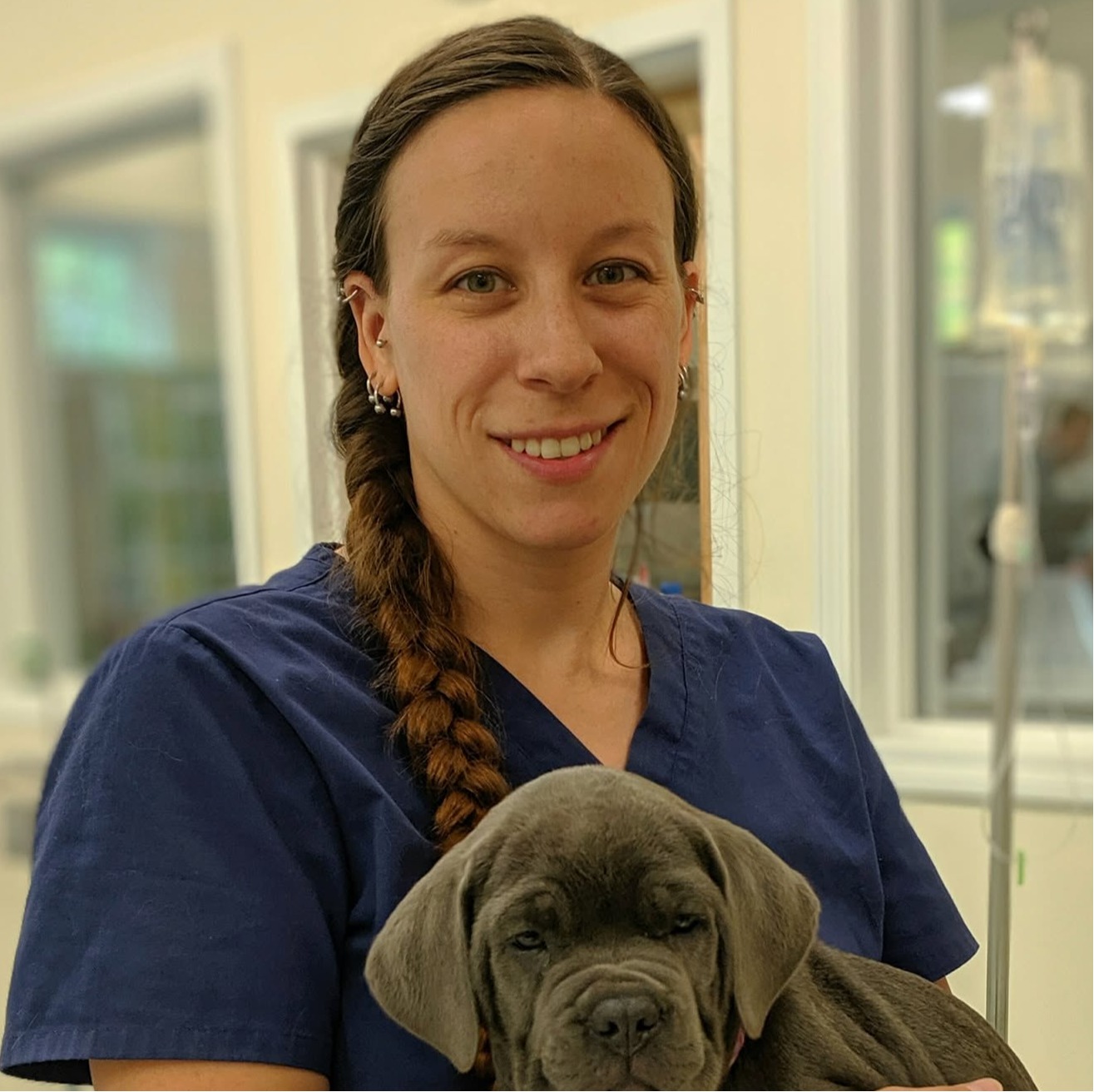 Rachel Tremblay at Henniker Veterinary Hospital