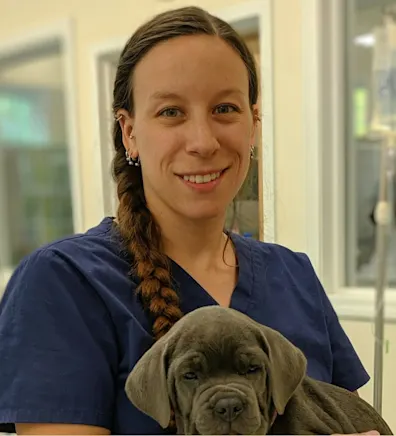 Rachel Tremblay at Henniker Veterinary Hospital Rachel Tremblay at Henniker Veterinary Hospital