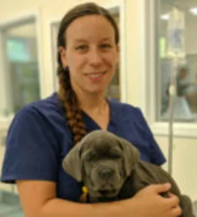Rachel Tremblay at Henniker Veterinary Hospital Rachel Tremblay at Henniker Veterinary Hospital