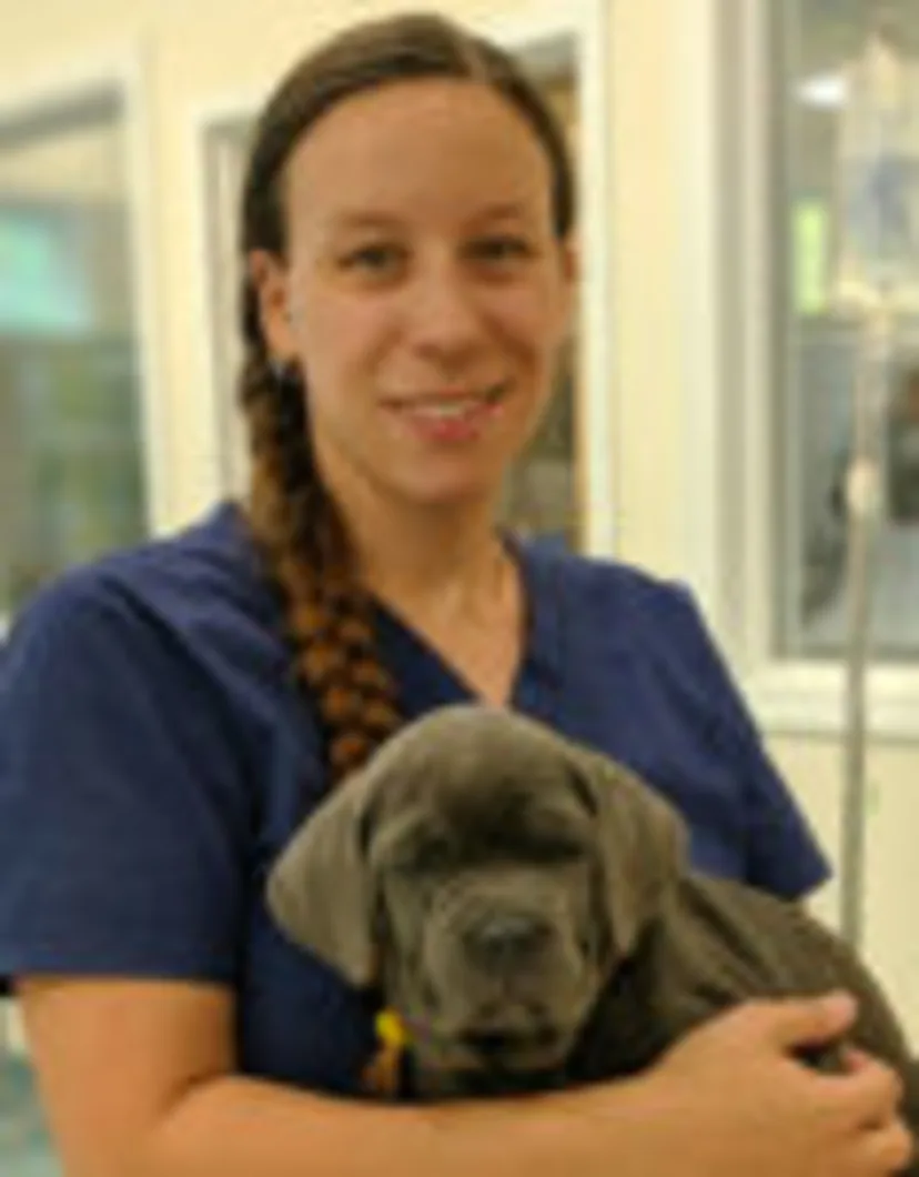 Rachel Tremblay at Henniker Veterinary Hospital