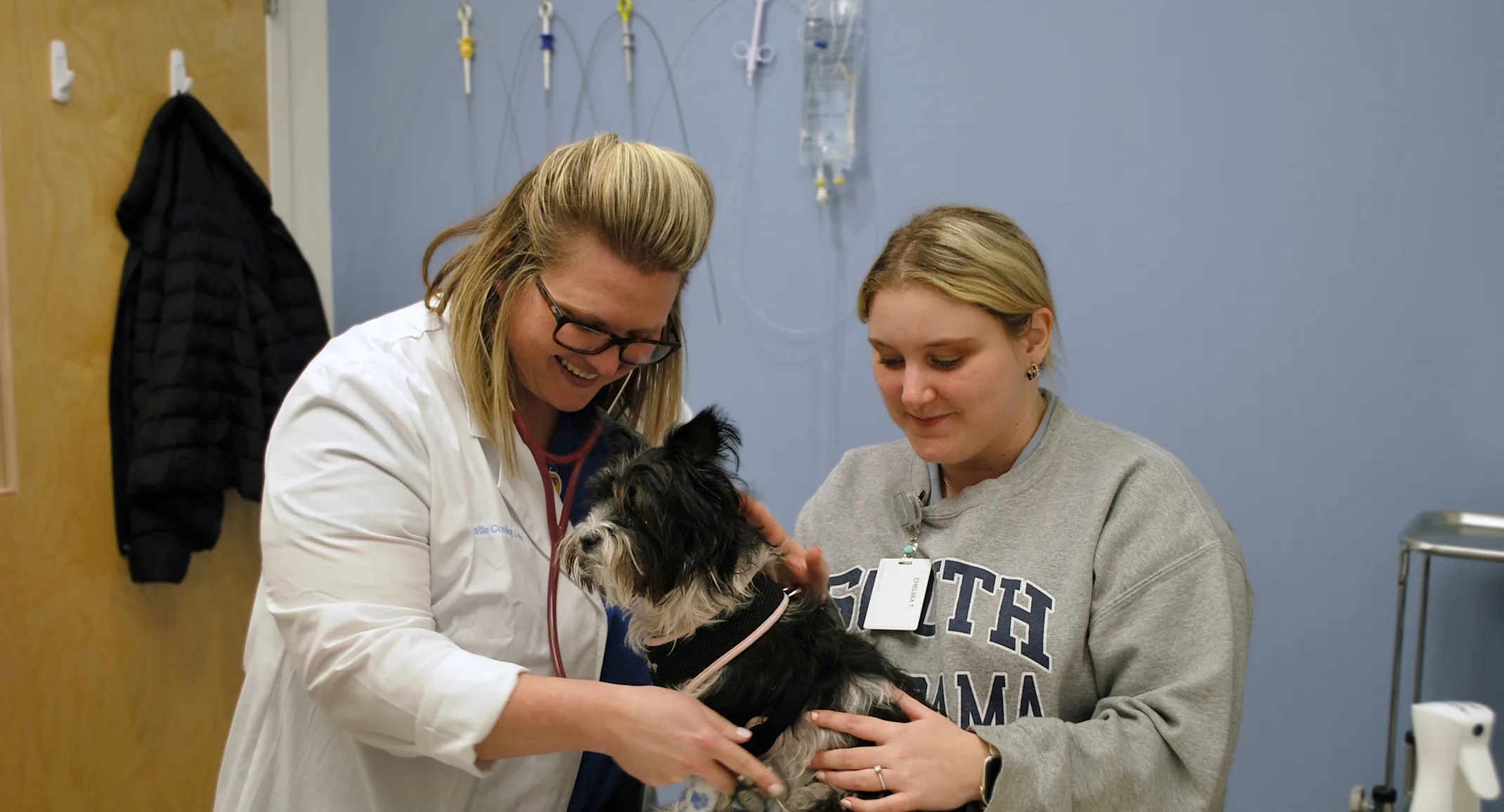 Dr. Cooley-lock and assistant assessing a dog Dr. Cooley-lock and assistant assessing a dog