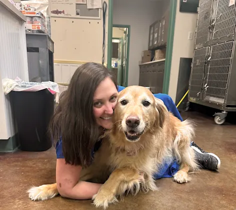 A staff member laying with a Golden Retriever A staff member laying with a Golden Retriever