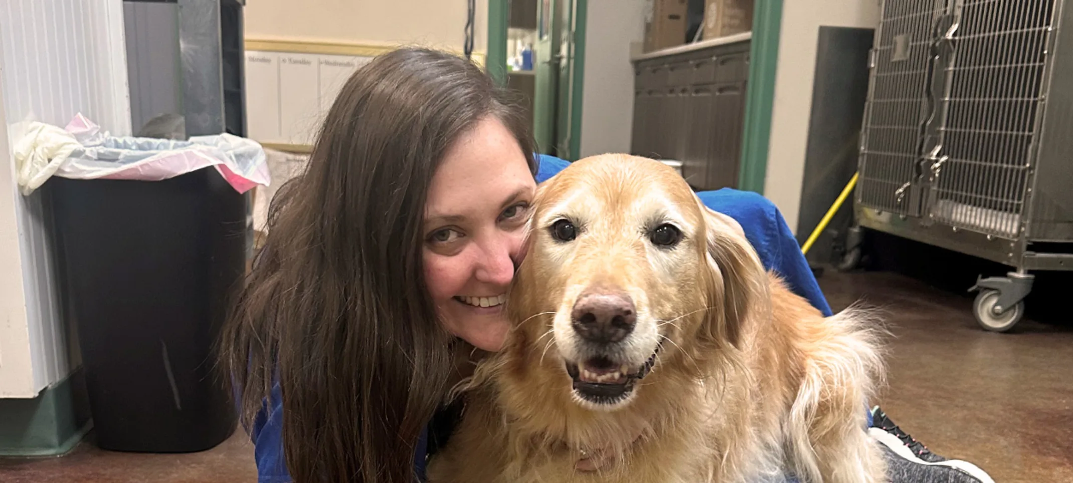 A staff member laying with a Golden Retriever A staff member laying with a Golden Retriever