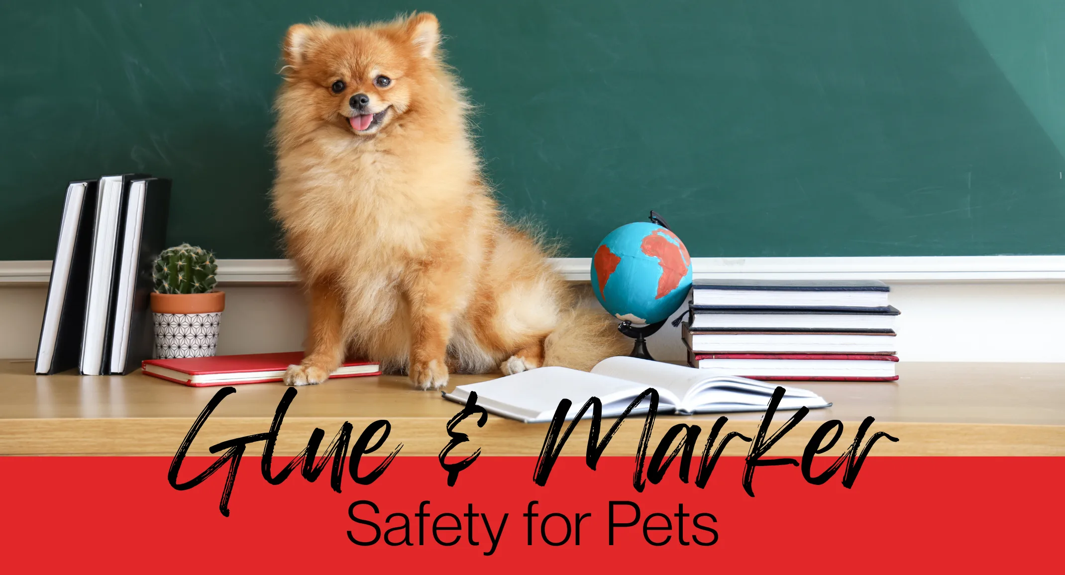 pet safety pet safety