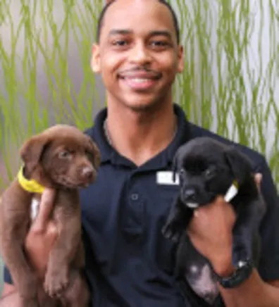 Derrick Rollerson Derrick Rollerson