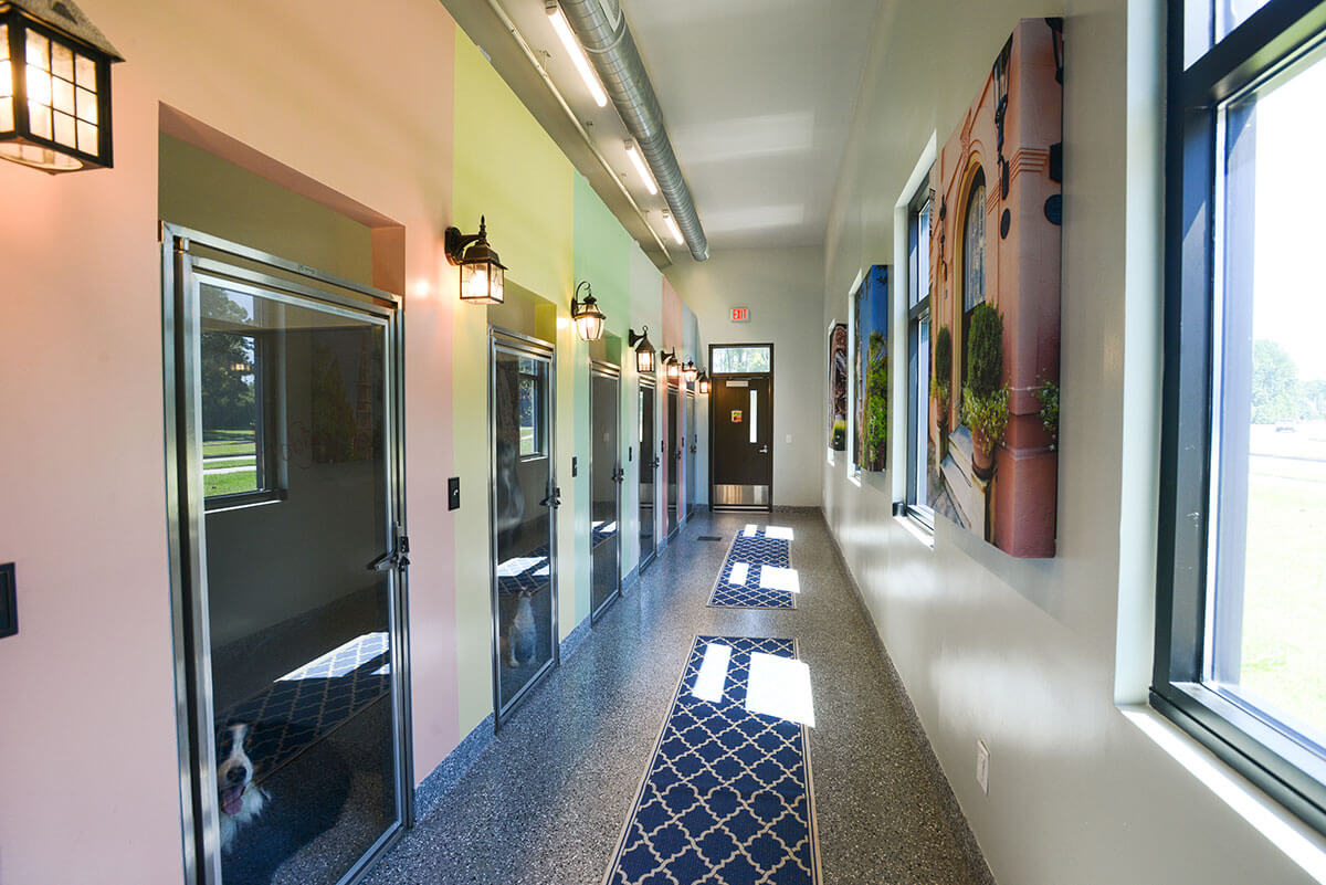 Canine Boarding Hall – Rainbow Row