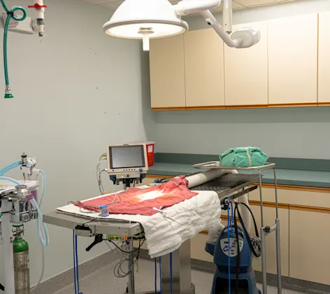 Exam Table Exam Table