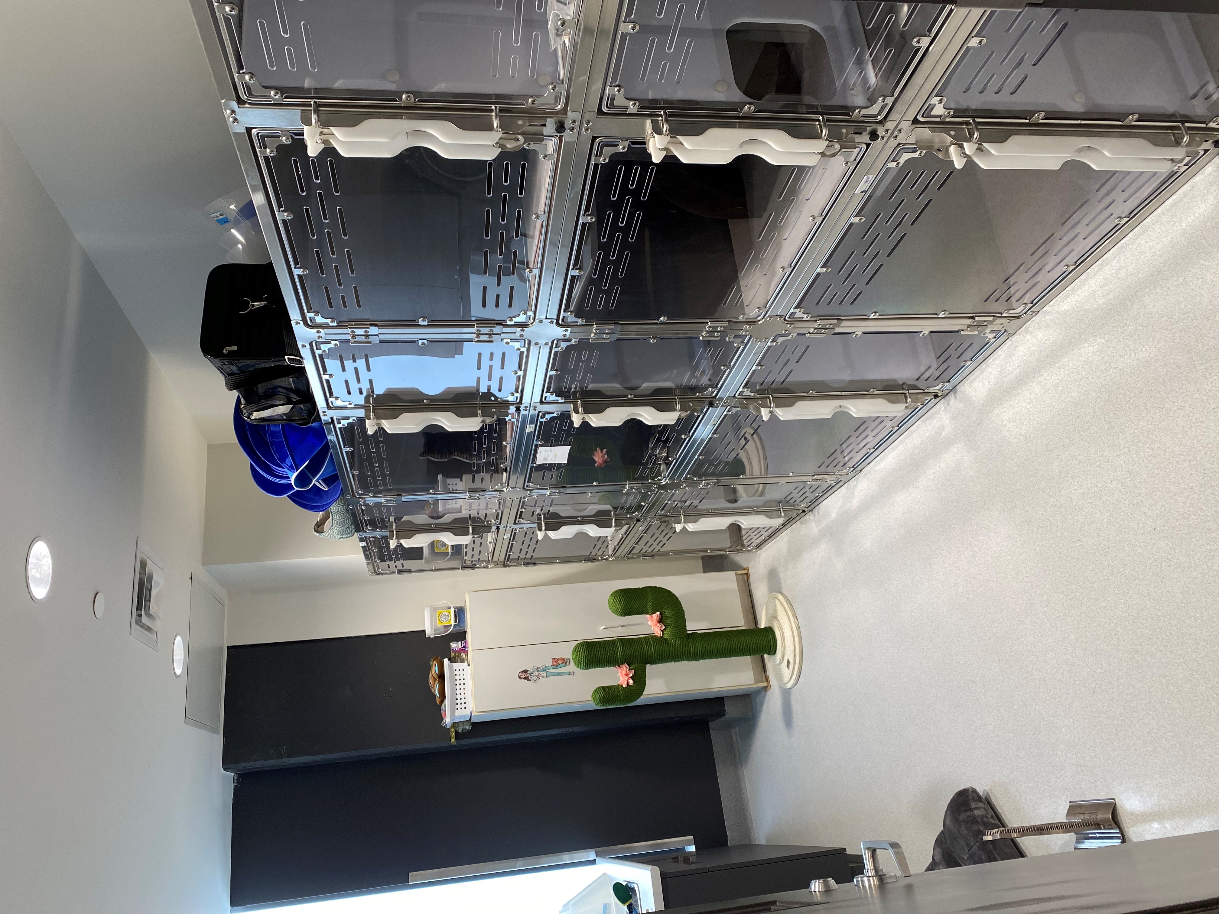 McGilvray Veterinary Hospital 0708 - Cat Ward