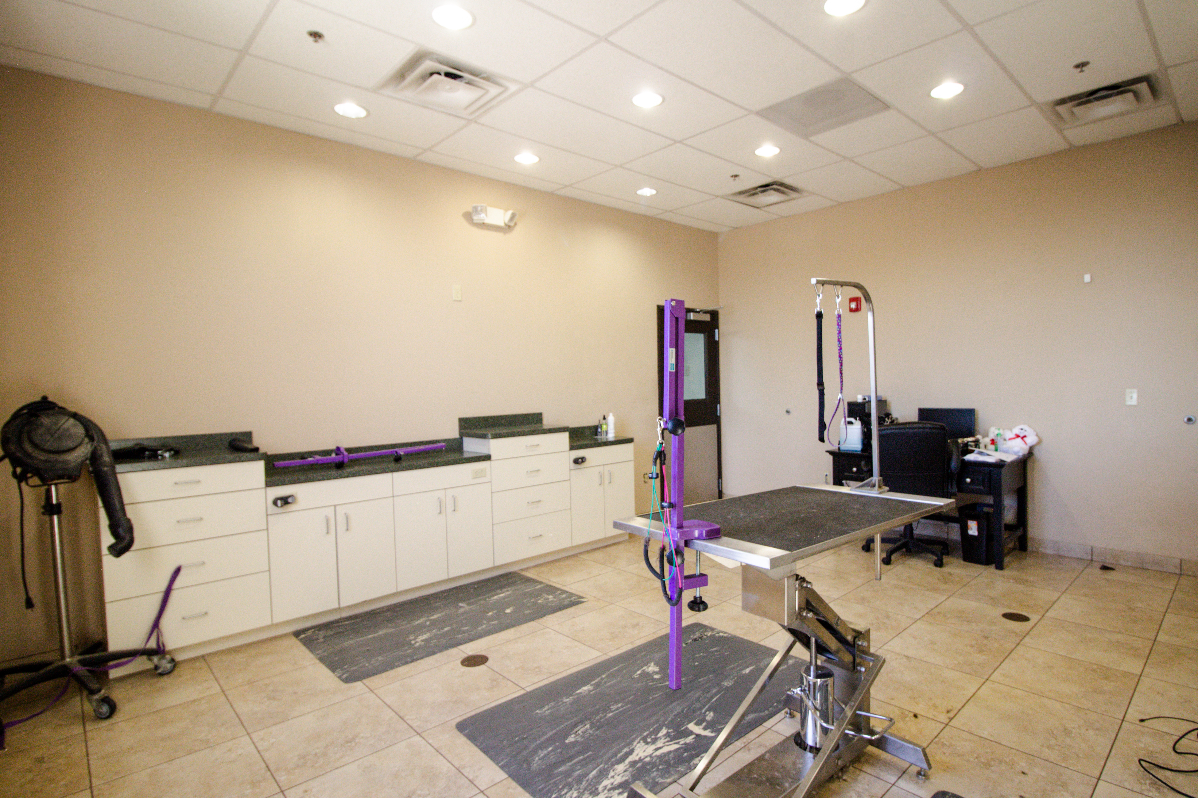 Dog Grooming tables at Elite Suite Pet Resorts in Heath