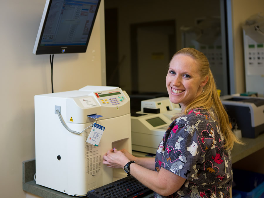 Park Veterinary Centre Lab Work