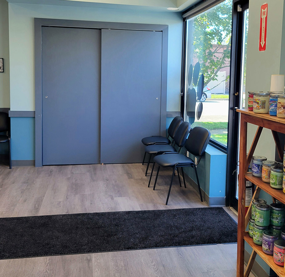 Waiting Area at South Shore Animal Hospital