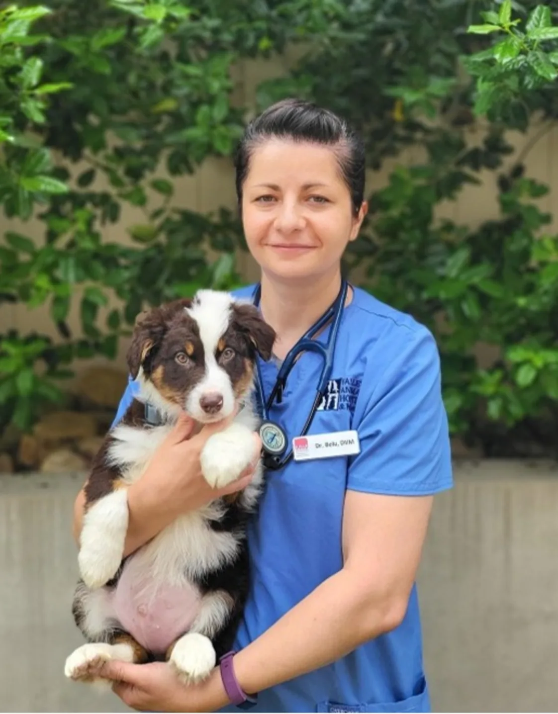 Dr. Maria Belu Dr. Maria Belu