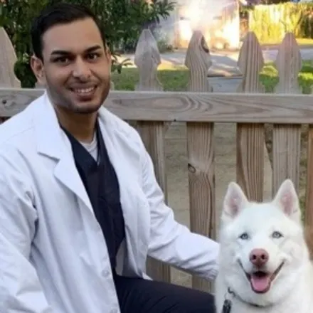 Dr. Rik from Waterford Lakes Animal Hospital with a white husky