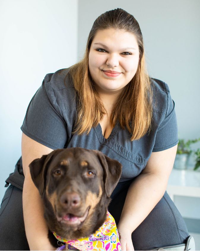 Family Veterinarian in Renton, WA | Value Pet Clinic Renton