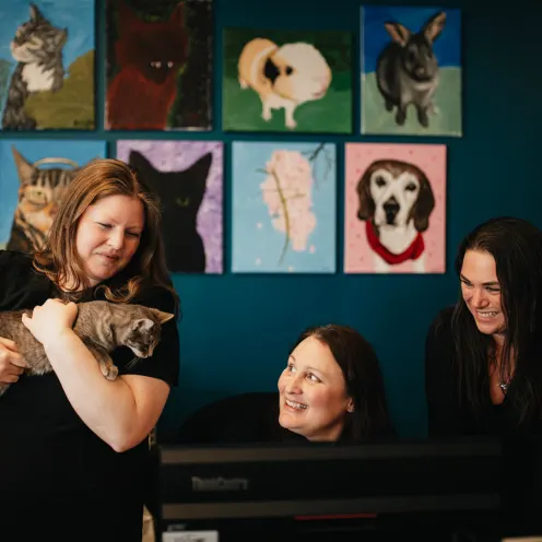 Three staff members sitting at the reception desk and one is holding a cat