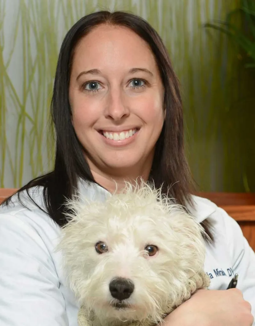 Dr. Amanda Mirabella of Naperville Animal Hospital 