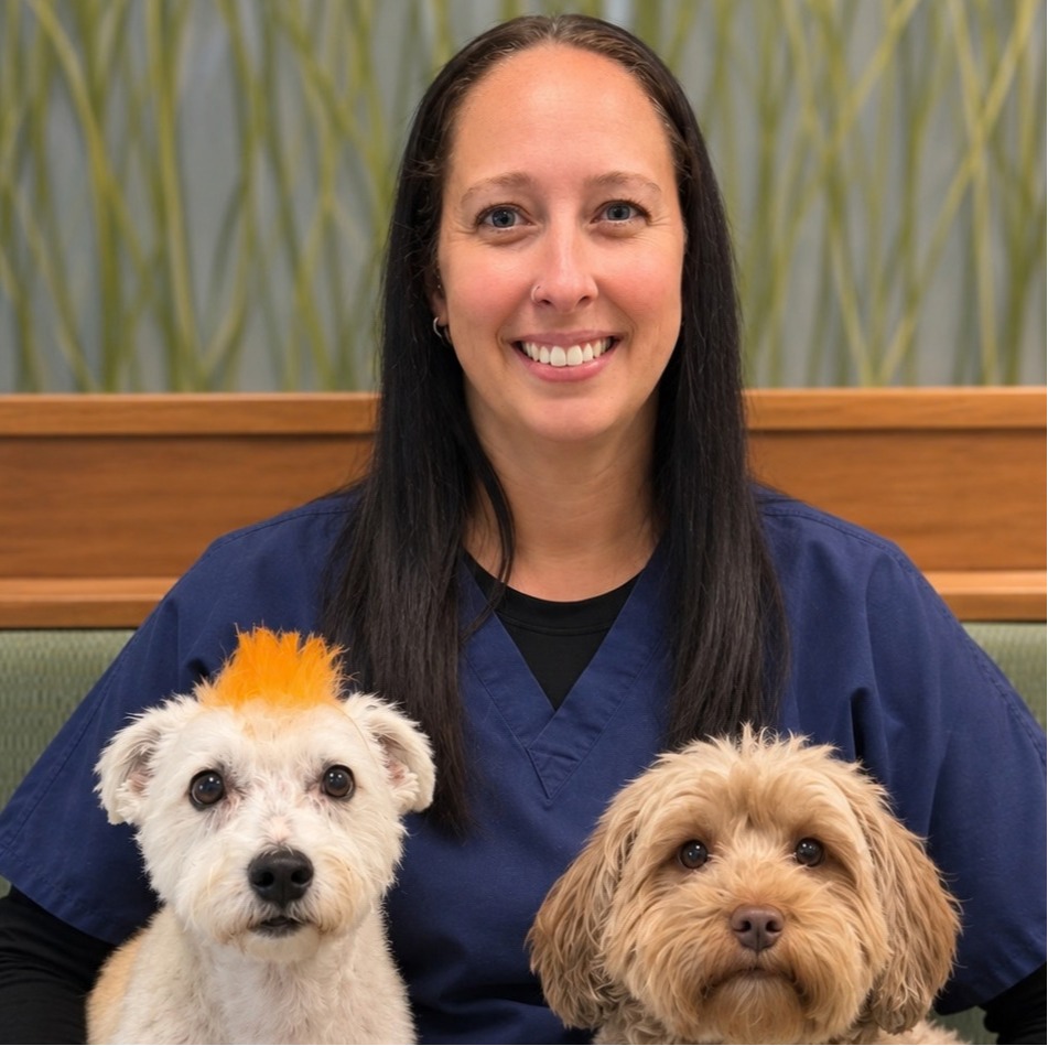 Dr. Amanda Mirabella of Naperville Animal Hospital 