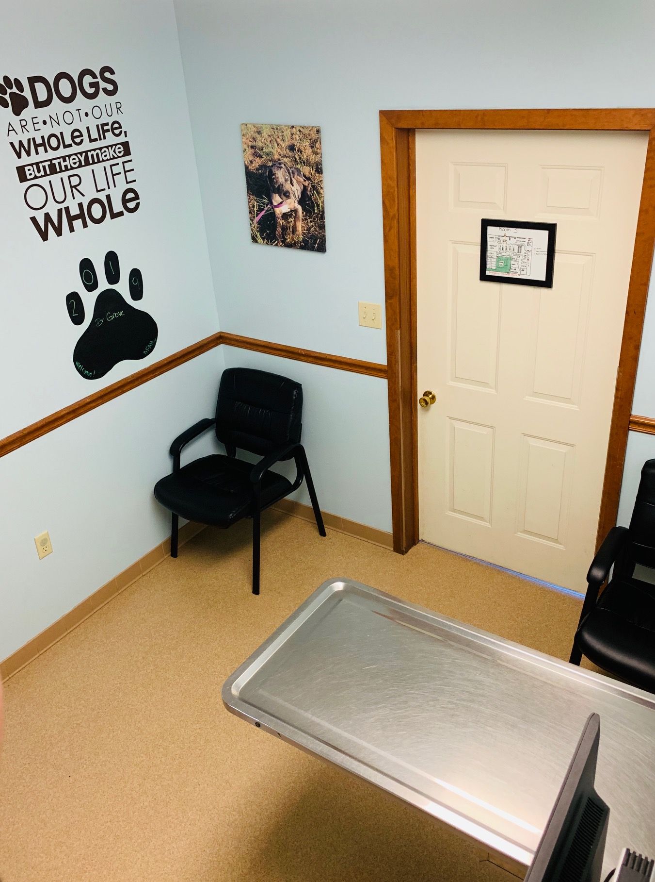 Best Friends Animal Hospital Exam Room with exam table and chairs for sitting