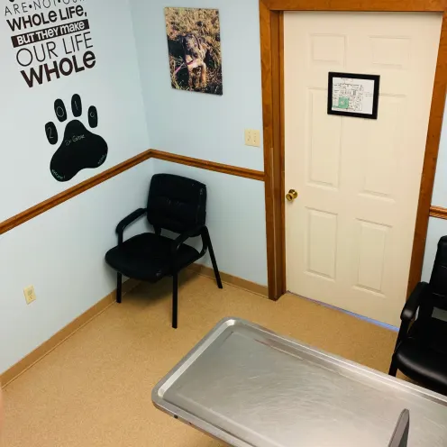 Best Friends Animal Hospital Exam Room with exam table and chairs for sitting Best Friends Animal Hospital Exam Room with exam table and chairs for sitting