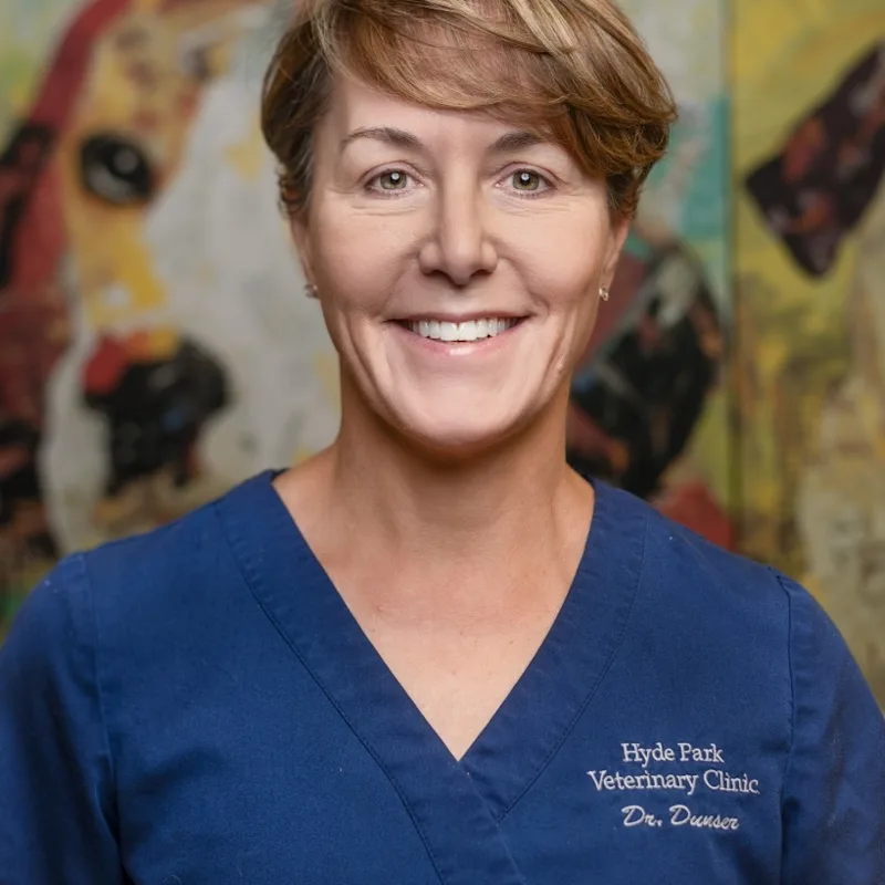 Chryser Dunser Chryser Dunser