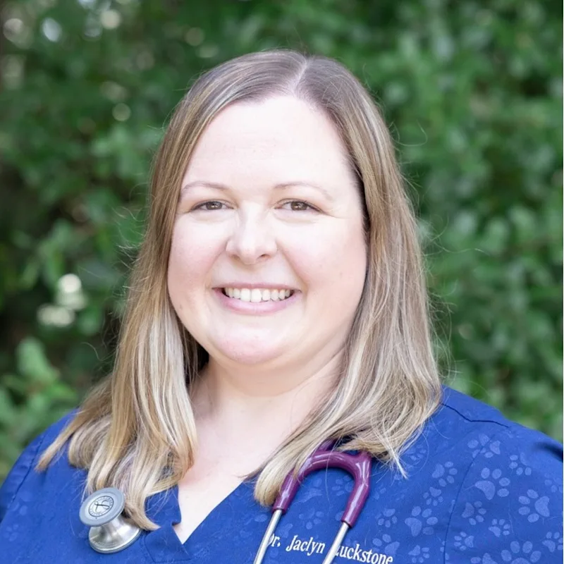 Dr. Jaclyn Luckstone Dr. Jaclyn Luckstone