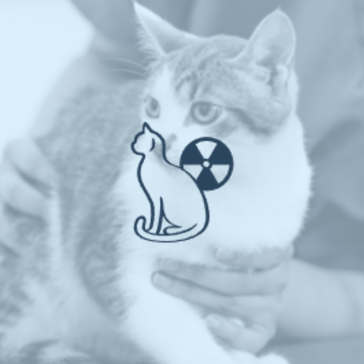 Grey cat on exam table being checked by veterinarian and a radiology cat logo