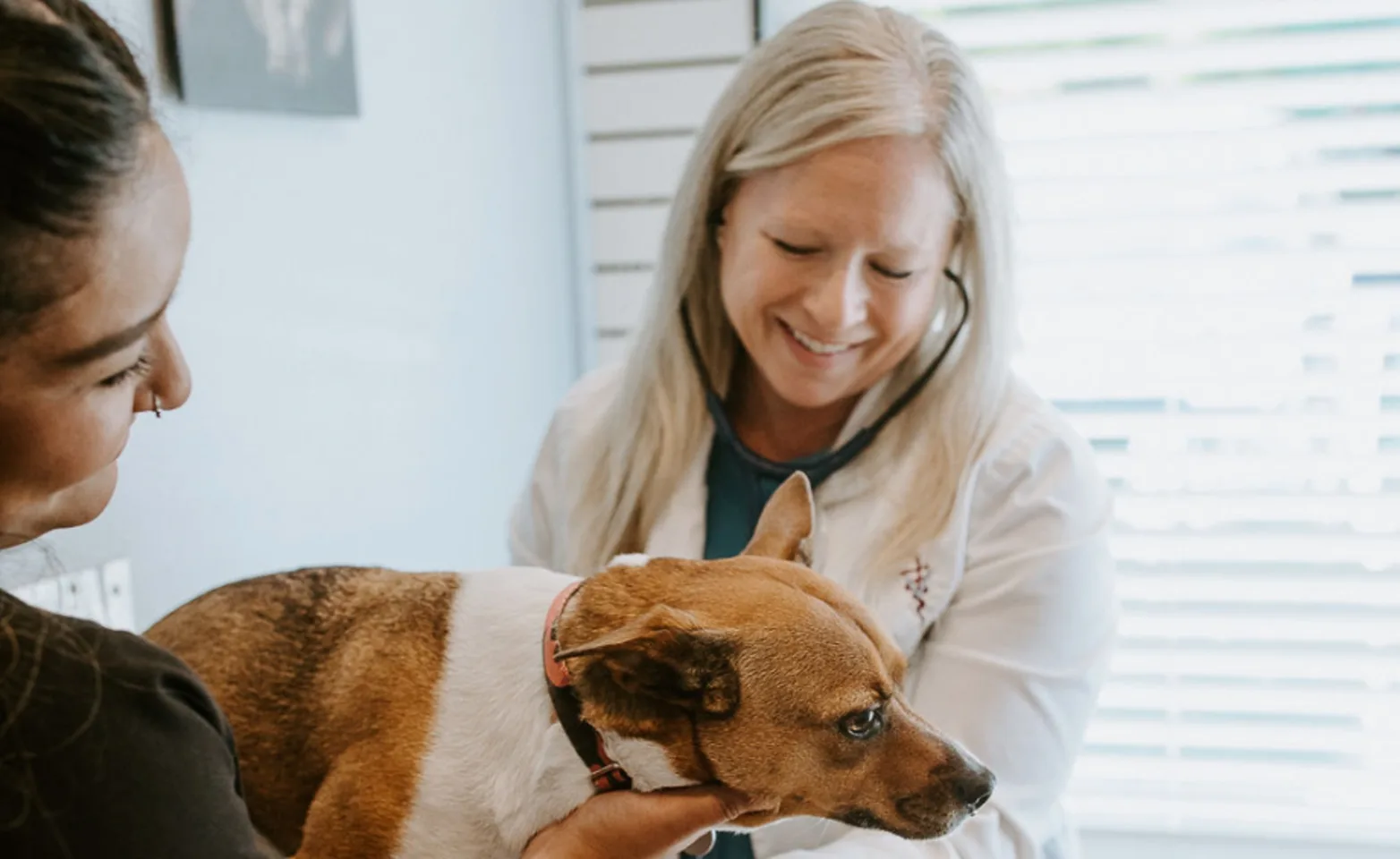Dr. Jody and staff member Jennifer caring for a tan and white dog Dr. Jody and staff member Jennifer caring for a tan and white dog