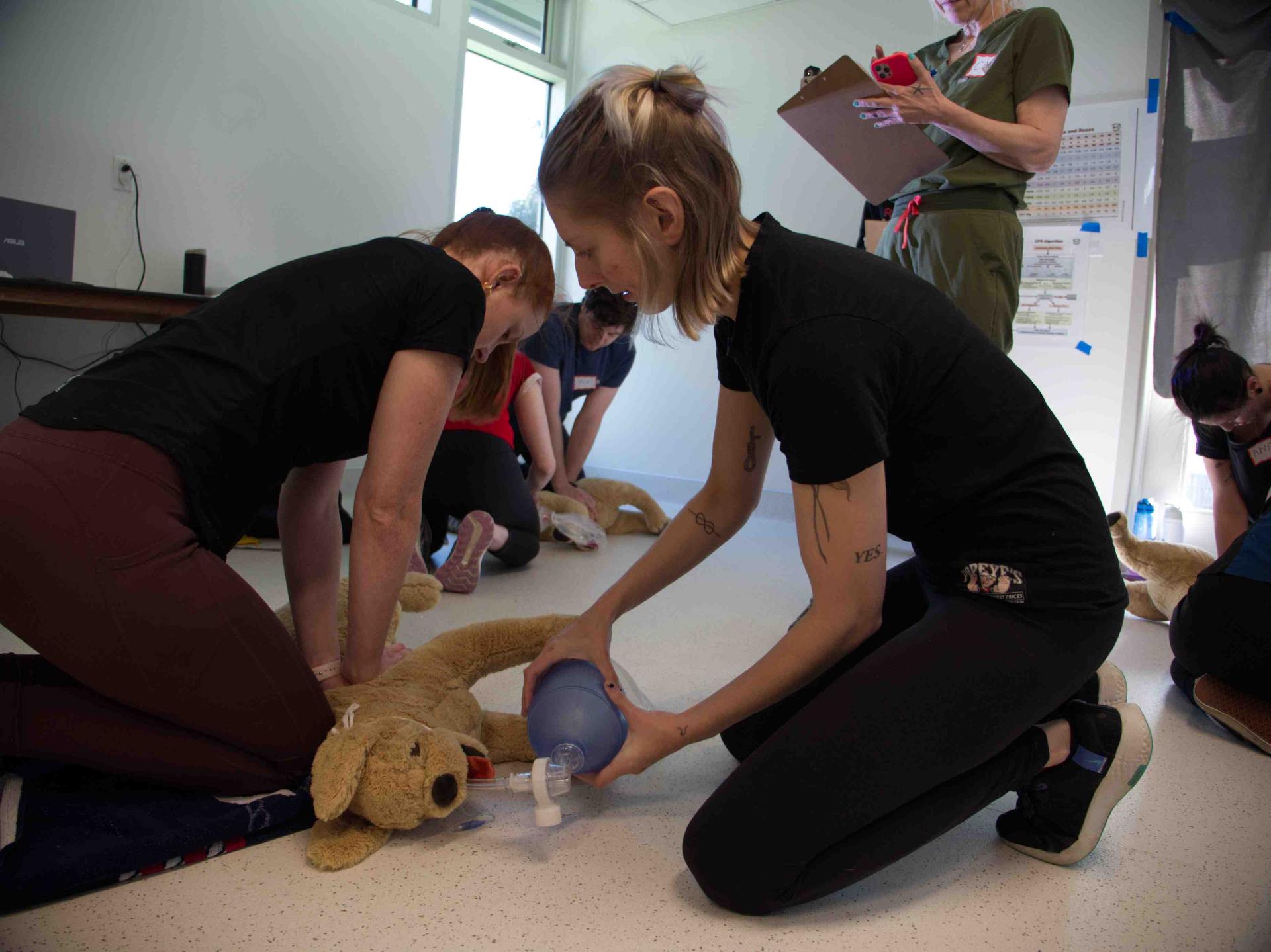 Staff members practicing CPR on a stuffed animal