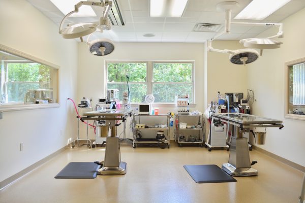 Operating room interior at Companion Animal Hospital