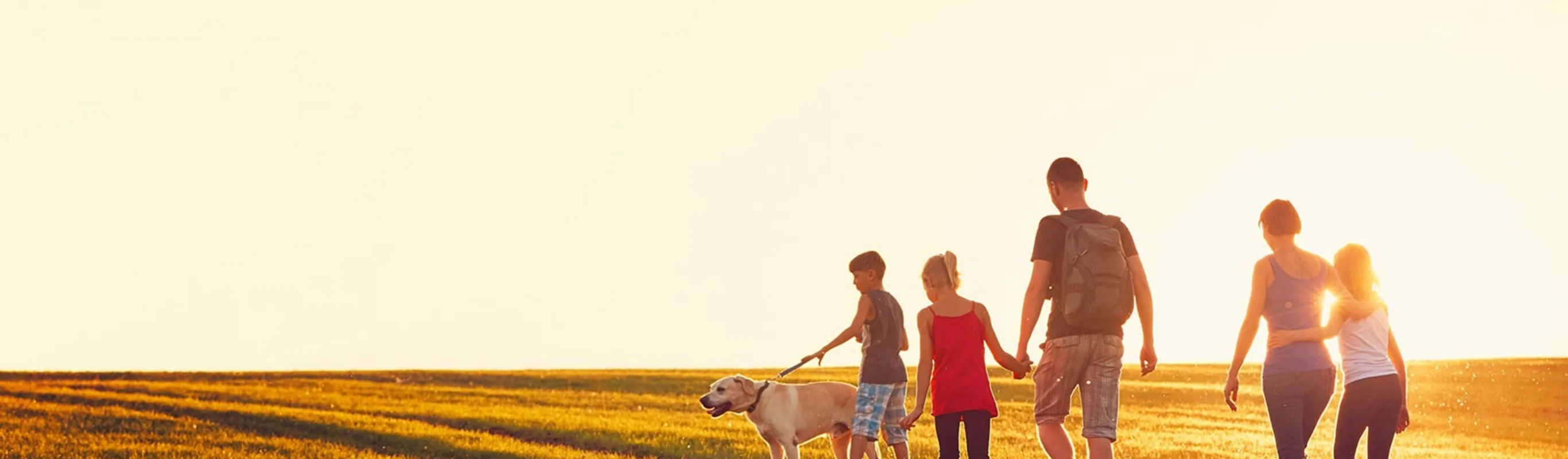family walking in field with dog family walking in field with dog