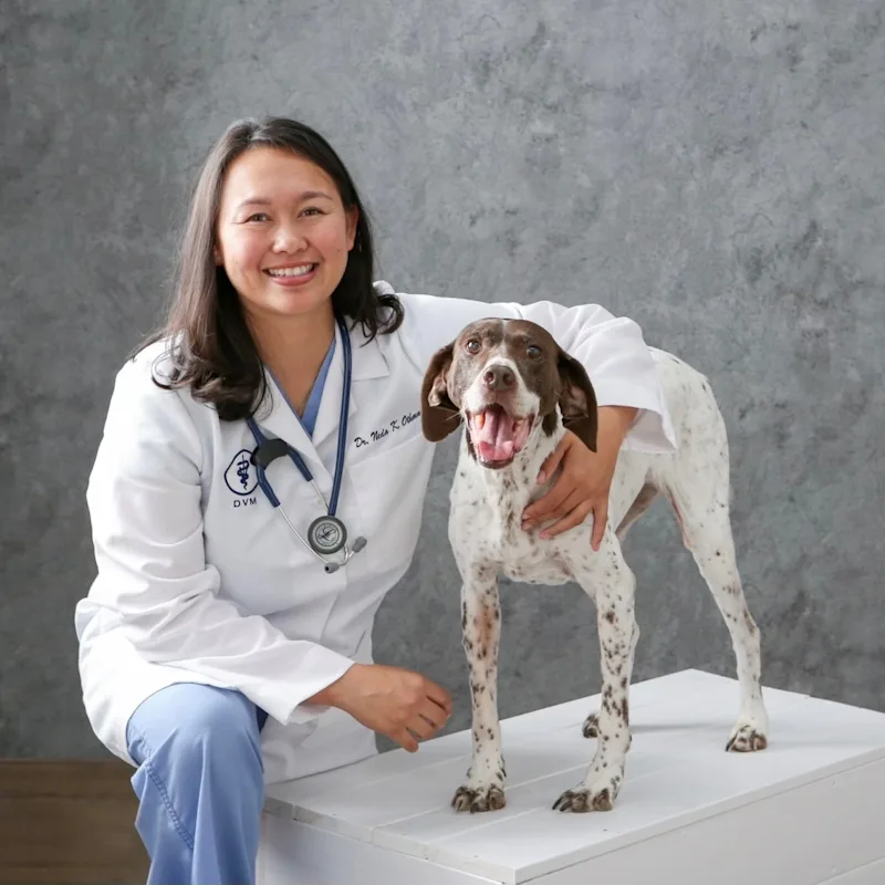 Dr. Neda Othman Dr. Neda Othman
