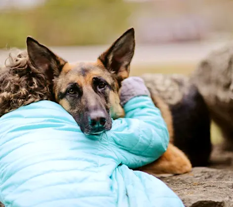 Child hugging dog Child hugging dog