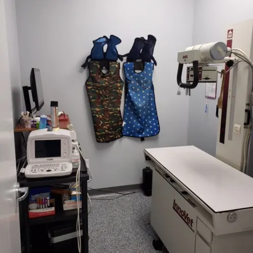 Discovery Bay Veterinary Clinic radiology facilities