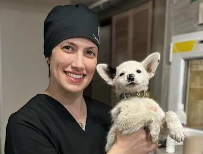 Dr. Marisa Gennace taking care of a dog who was injured by the war in Ukraine Dr. Marisa Gennace taking care of a dog who was injured by the war in Ukraine