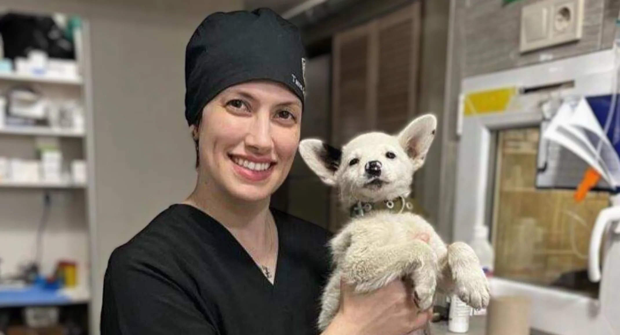 Dr. Marisa Gennace taking care of a dog who was injured by the war in Ukraine Dr. Marisa Gennace taking care of a dog who was injured by the war in Ukraine