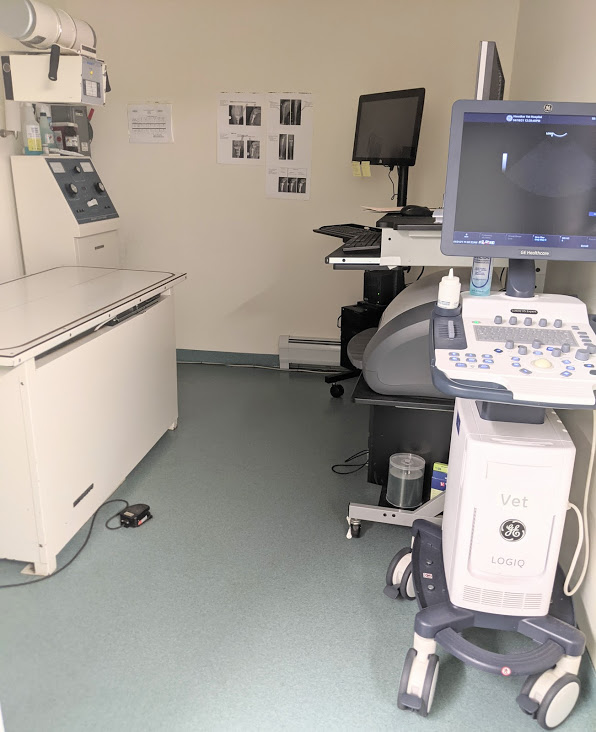Medical equipment and devices at Henniker Veterinary Hospital
