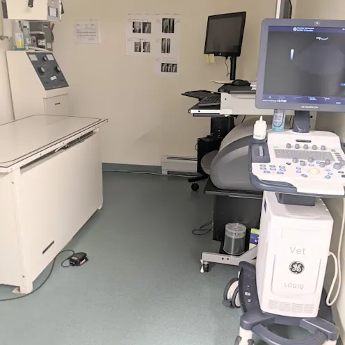 Medical equipment and devices at Henniker Veterinary Hospital Medical equipment and devices at Henniker Veterinary Hospital