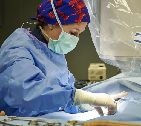 Staff member performing an operation 