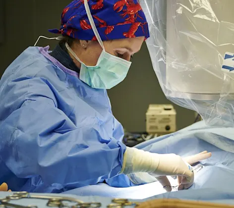 Staff member performing an operation Staff member performing an operation