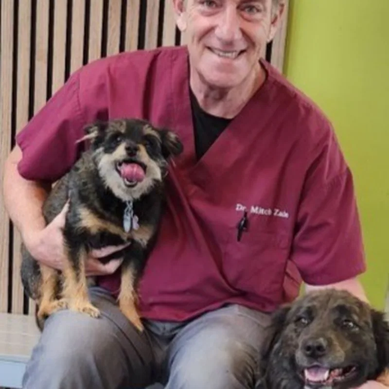 Dr. Mitch Zale Dr. Mitch Zale
