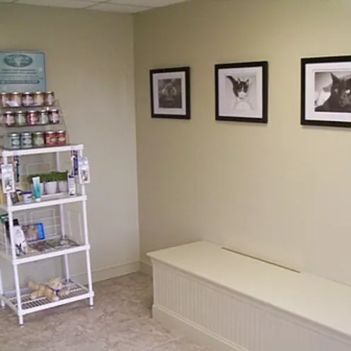 Highway 92 Animal Hospital's waiting room for cats with veterinary care products for purchase