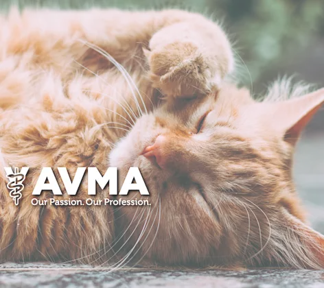 AVMA AVMA