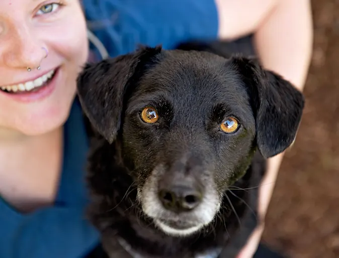 Common Pet Emergencies News Photo Common Pet Emergencies News Photo