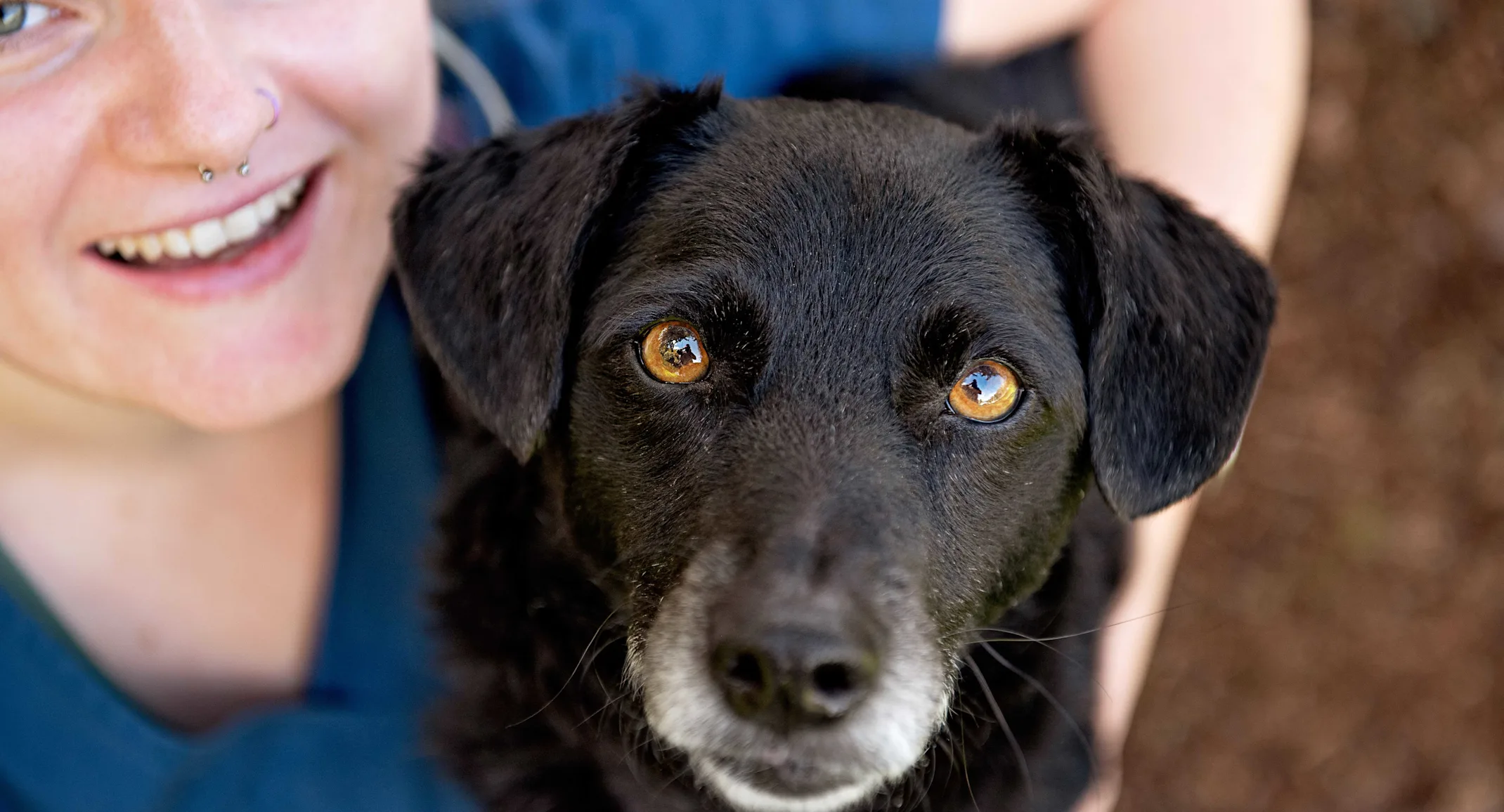 Common Pet Emergencies News Photo Common Pet Emergencies News Photo