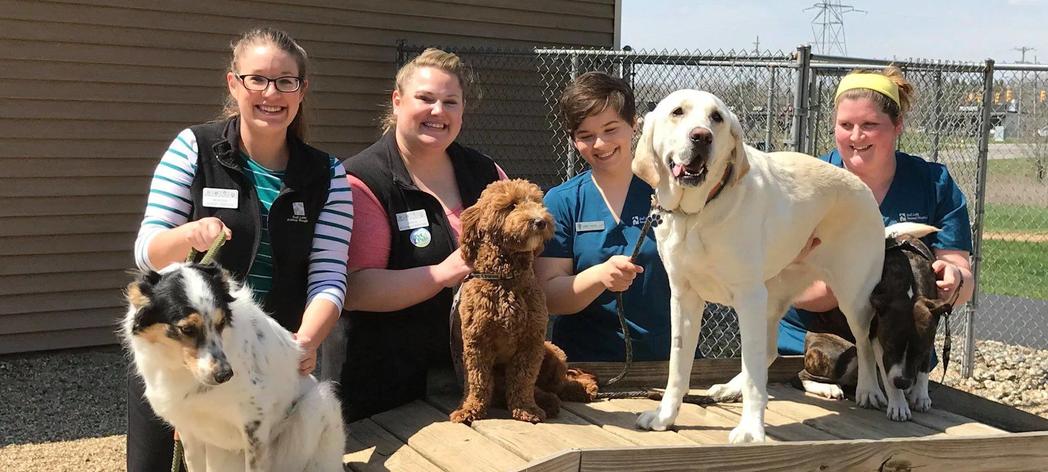 dogs and staff on a doggie ramp