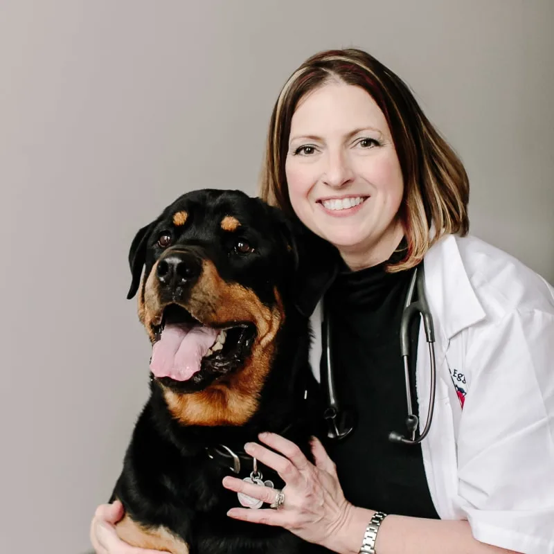 Dr. Jennifer LoVullo with large rottweiler Dr. Jennifer LoVullo with large rottweiler